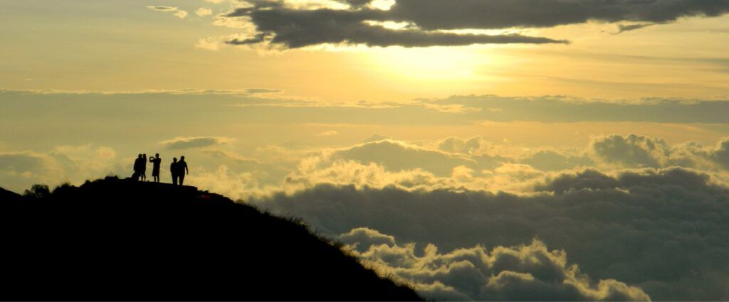 Uploaded Media